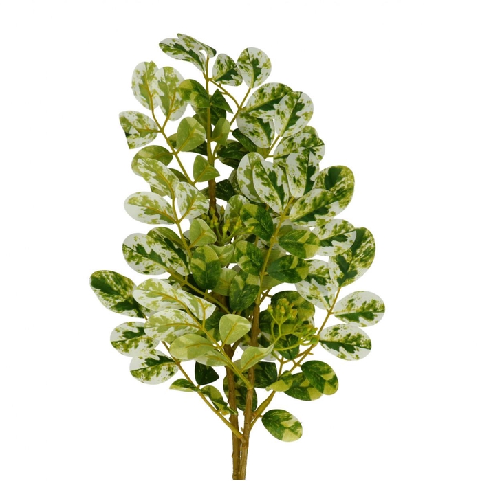 <h4>Artificial flowers Ficus 70cm</h4>