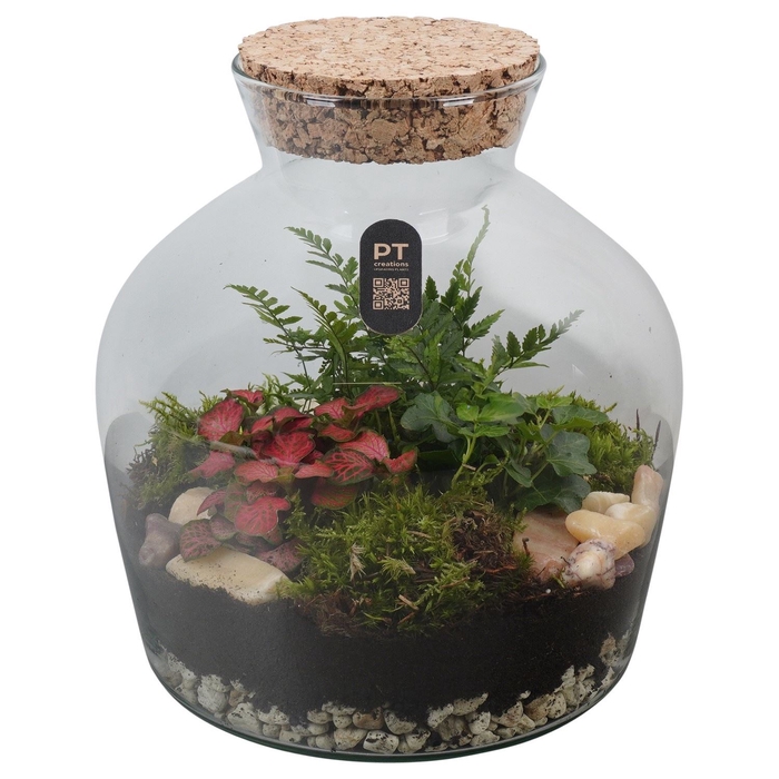 <h4>Arr.   Kamerplant Groen H%</h4>
