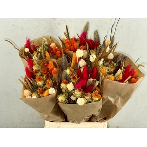Df Bouquet 50cm Dutch Festival