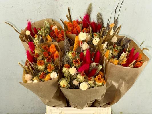 <h4>Df Bouquet 50cm Dutch Festival</h4>