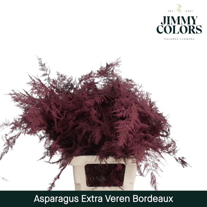 <h4>Aspa extra veren Bordeaux</h4>