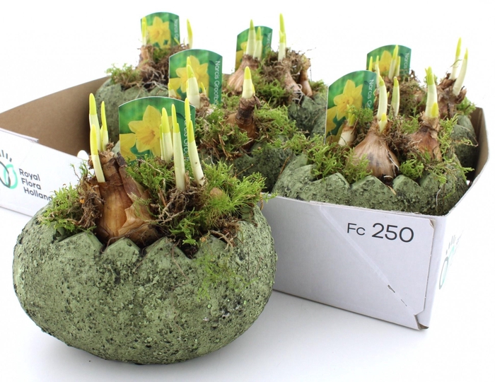 <h4>ARR N TETE A TETE</h4>