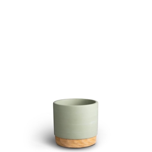 60923103 Woodbase Green 10 cm