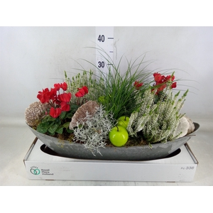Arr.   Tuinplanten L%