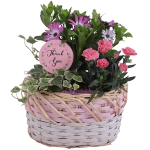 Mothersday Arr. Outdoor Willow Basket Oval Threetone Ø25cm 3PP