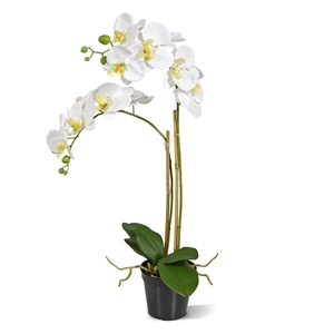 Kunstplant Phalaenopsis Wit 2 tak