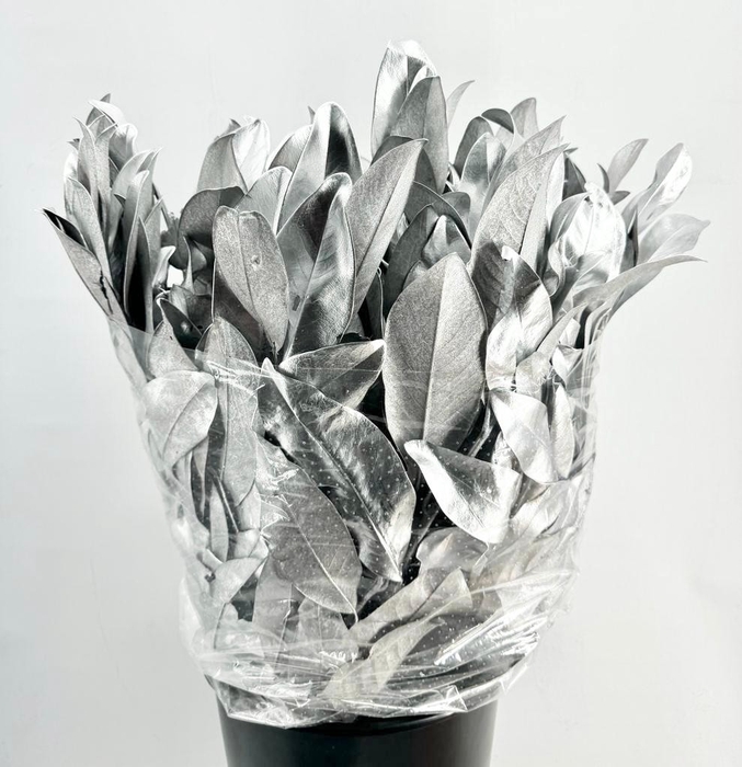 <h4>DEC Magnolia Painted $luxury Silver</h4>