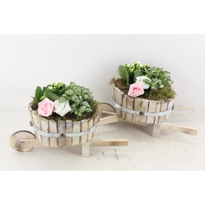 arr2 TD - Hout ton kruiwagen - wit
