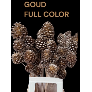 DENNENAPP OP STOK H%