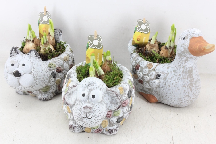 <h4>arr4 Narcis PL - Keramiek dierenmix</h4>