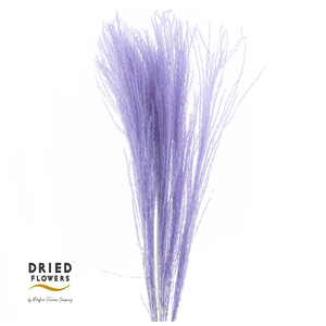 Dried Bleached Miscanthus Milka