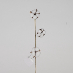 AF Cotton 3 Balls L65cm