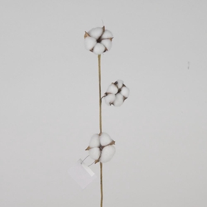 AF Cotton 3 Balls L65cm