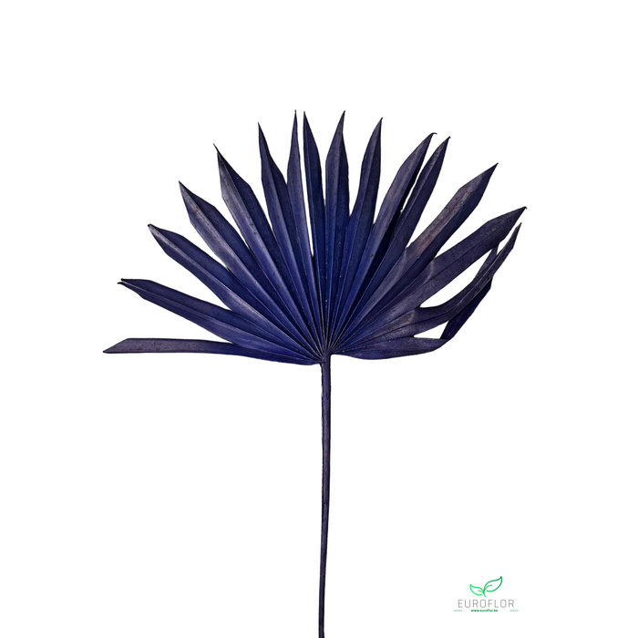 <h4>PALM SUN 3PCS DARKBLUE</h4>