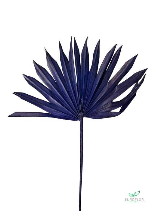 PALM SUN 3PCS DARKBLUE