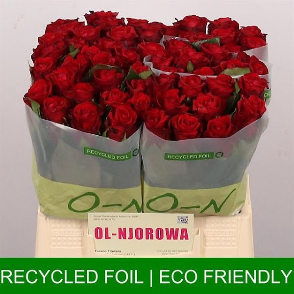 <h4>R Gr Red Ribbon Ol Njorowa</h4>