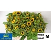 Helianthus Sunrich Orang