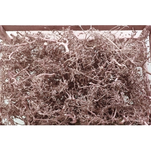 Bonsai Wood Metallic Pink P Crate