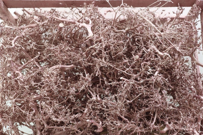 <h4>Bonsai Wood Metallic Pink P Crate</h4>