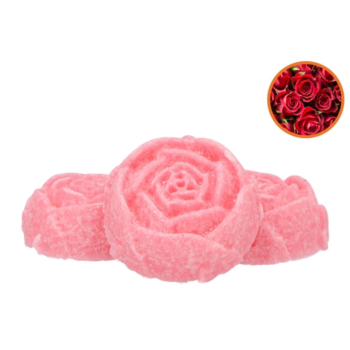 <h4>Amber Roos Groot 7x6x2.50cm Rose P/1</h4>