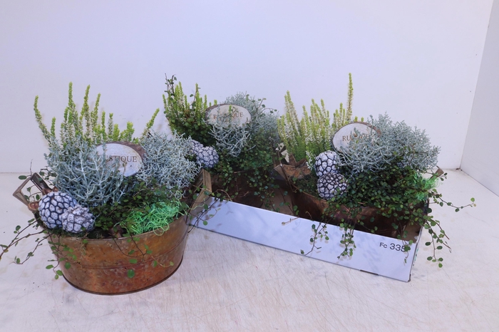 <h4>ARR TUINPLANTEN</h4>