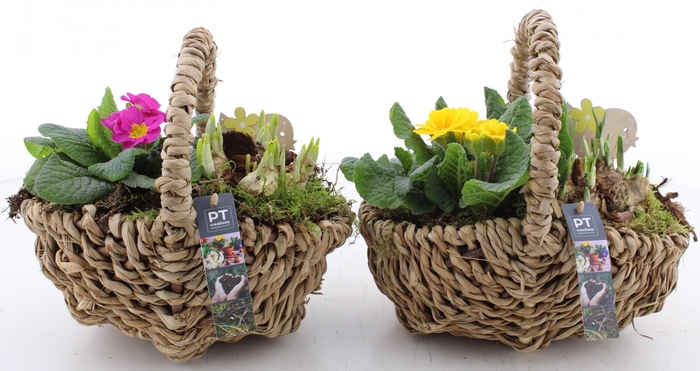 <h4>ARR PL IN SCHAAL</h4>