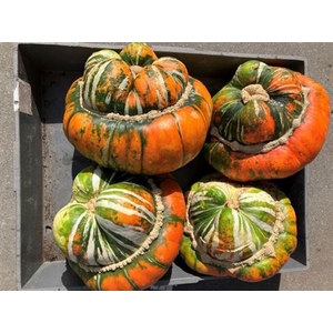Cuc Turks Turban Mix