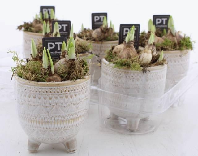 <h4>ARR N TETE A TETE</h4>