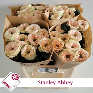 R GR STANLEY ABBEY