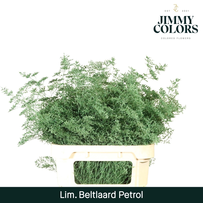 <h4>Lim Bel L90 Petrol</h4>