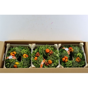 Wr Sierfruit 30cm (melli)