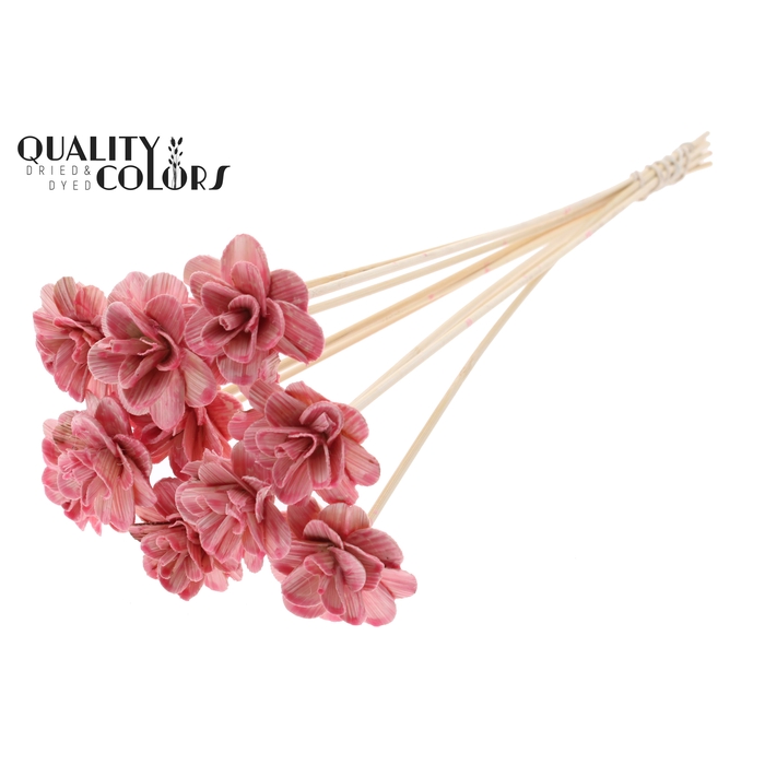 <h4>Beetal Rose 6cm on stem Wax Light Pink</h4>