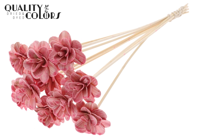 Beetal Rose 6cm on stem Wax Light Pink