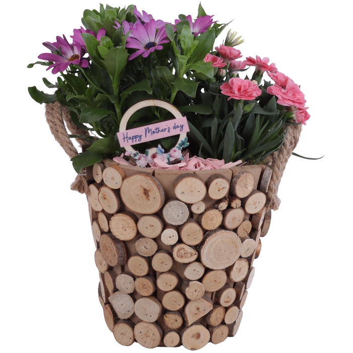<h4>Mothersday Arr. Outdoor Wooden Pot Round Tree Chucks Ø20cm 2PP</h4>