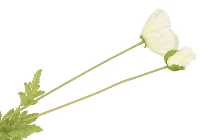 <h4>Silk Papaver 2x White 96cm</h4>