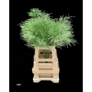 Treefern Metallic Green