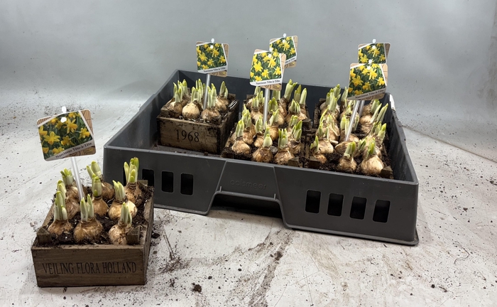 <h4>ARR N TETE A TETE</h4>