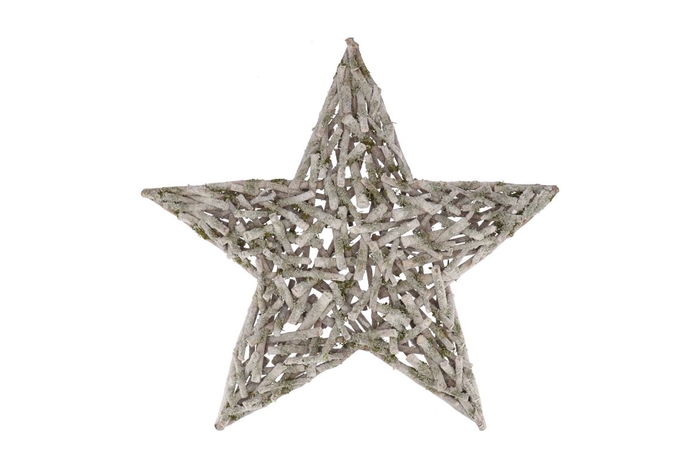<h4>Festive Star Poplar Moss With Snow 70x70x9cm</h4>