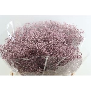 Gyps Grof. Mtlc Pink