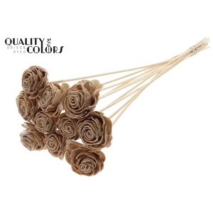 Shola Beauty Rose 6cm on stem Wax Beige