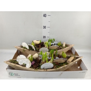 Arr.   Bol/Knolgewas L%