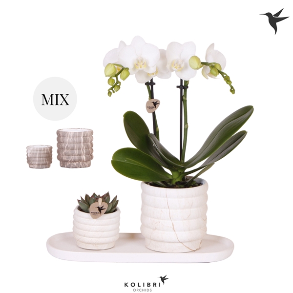 <h4>Kolibri Gift Set small Marble</h4>