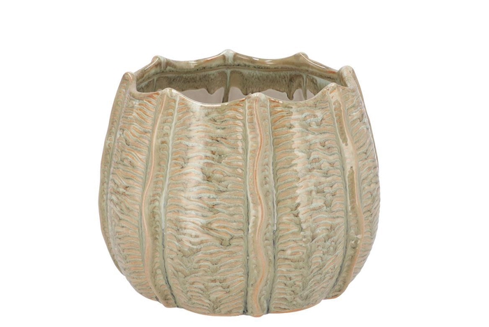 Sifan Green Pot Structure 16x16x12cm