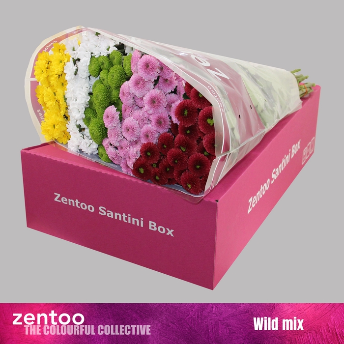 <h4>CHR S MIX WILD</h4>