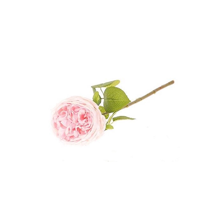 <h4>Stem Rose Florabunda L44W13H10</h4>