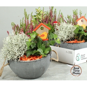 ARR TUINPLANTEN