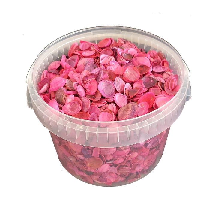 <h4>Shells north sea 3 ltr Cerise</h4>