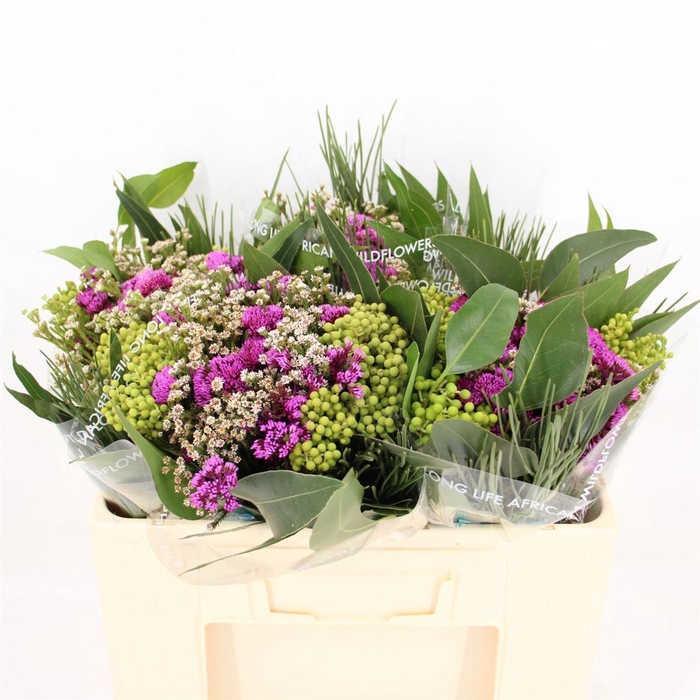 <h4>Bouquet Metalasia Pink Mix</h4>