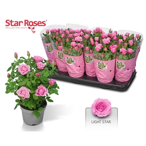 RO LIGHT STAR