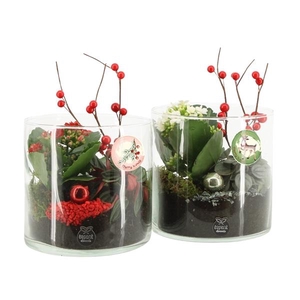 61578: X-mas arrangement